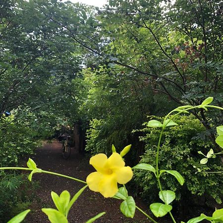 Forest Villa Nature Resort Anuradhapura Zewnętrze zdjęcie