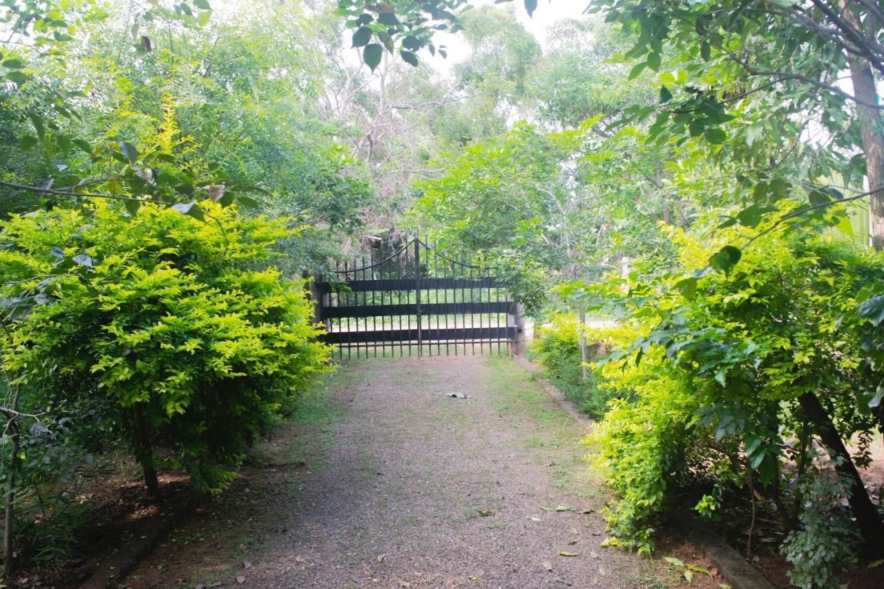 Forest Villa Nature Resort Anuradhapura Zewnętrze zdjęcie
