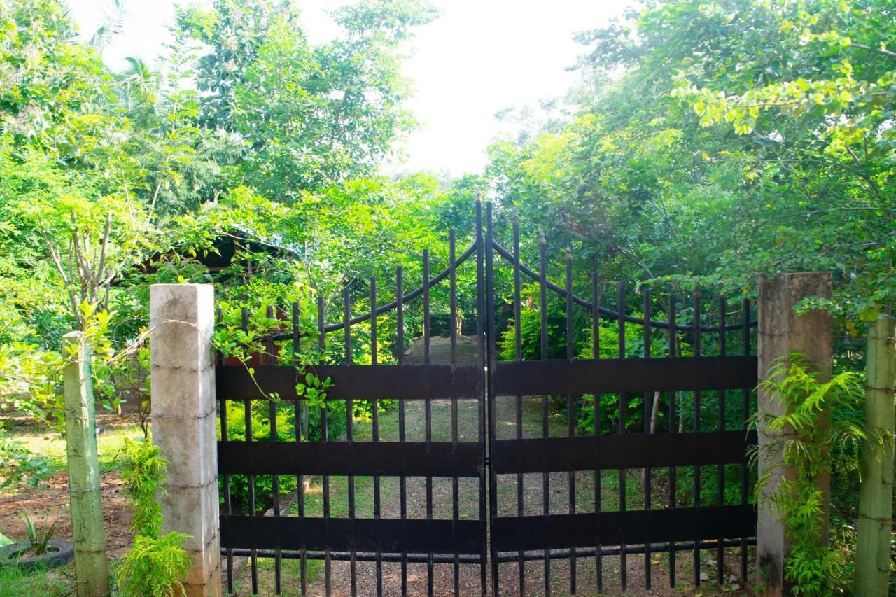 Forest Villa Nature Resort Anuradhapura Zewnętrze zdjęcie
