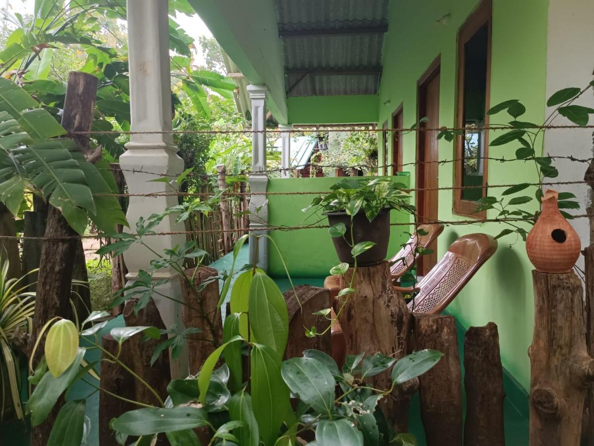 Forest Villa Nature Resort Anuradhapura Zewnętrze zdjęcie