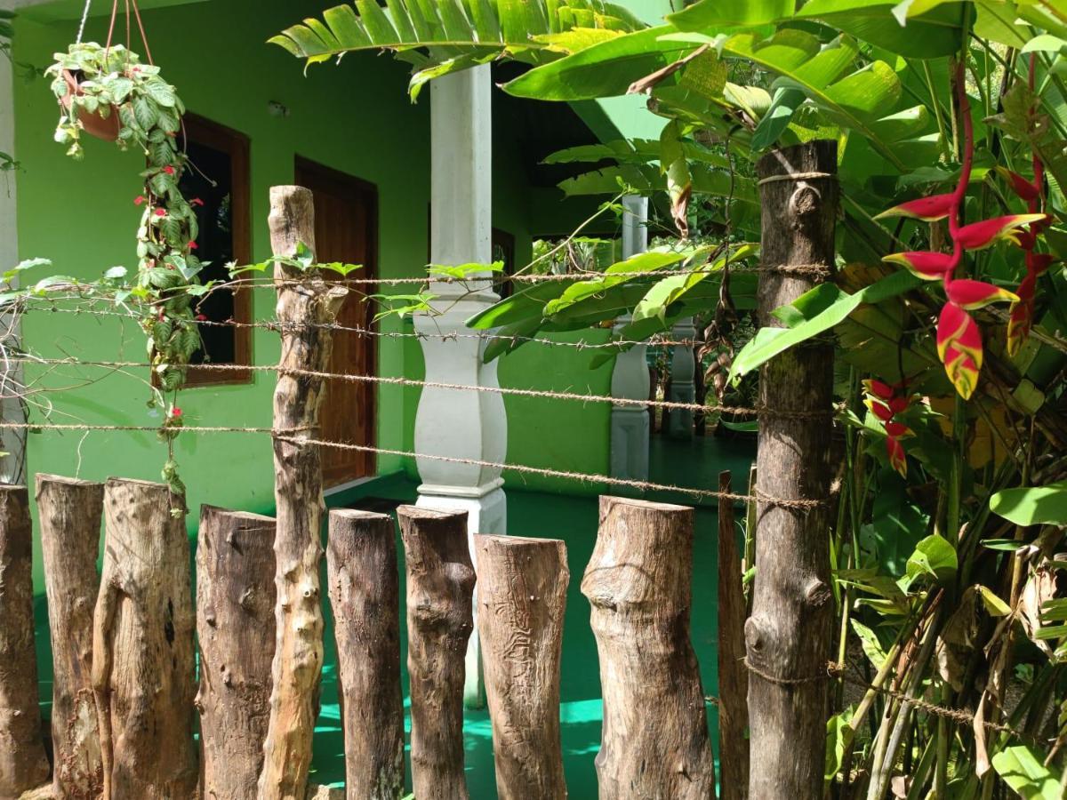 Forest Villa Nature Resort Anuradhapura Zewnętrze zdjęcie