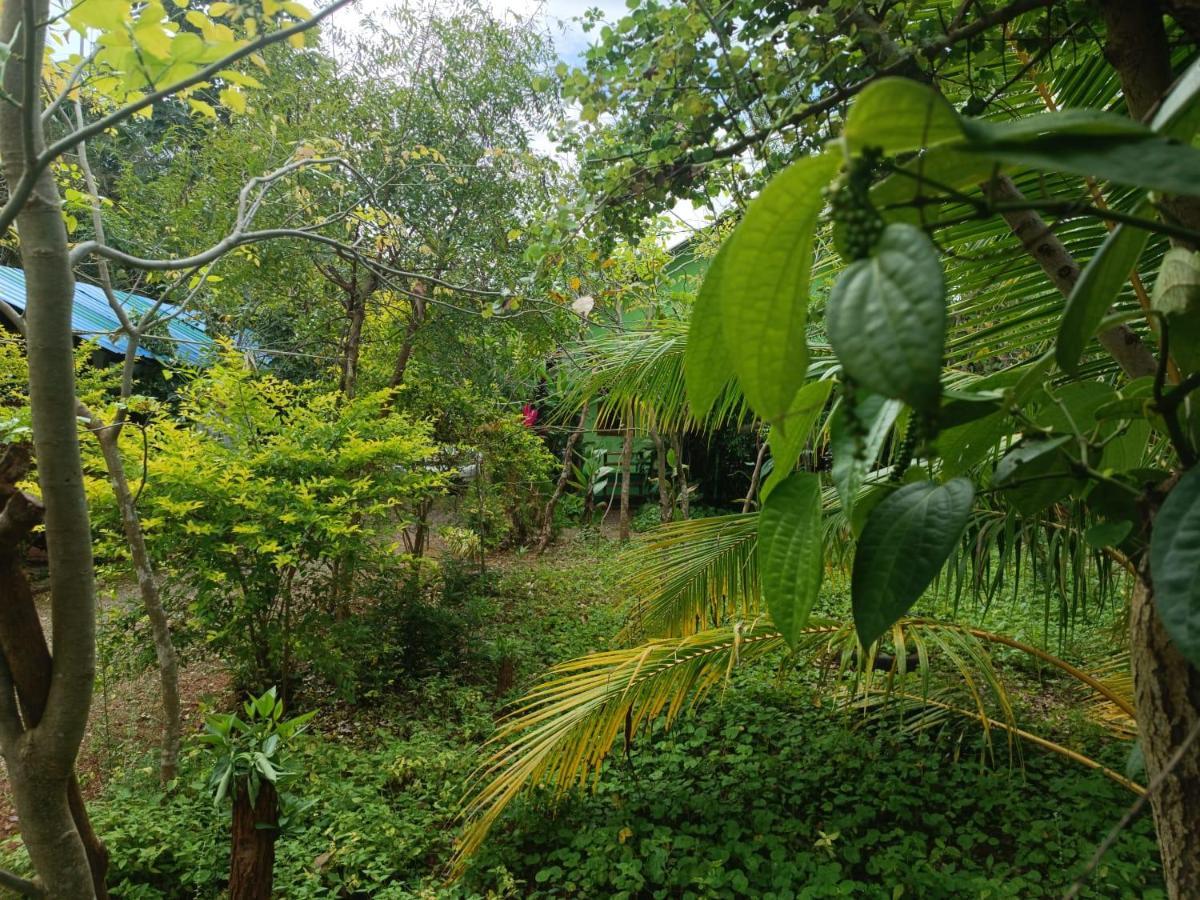 Forest Villa Nature Resort Anuradhapura Zewnętrze zdjęcie