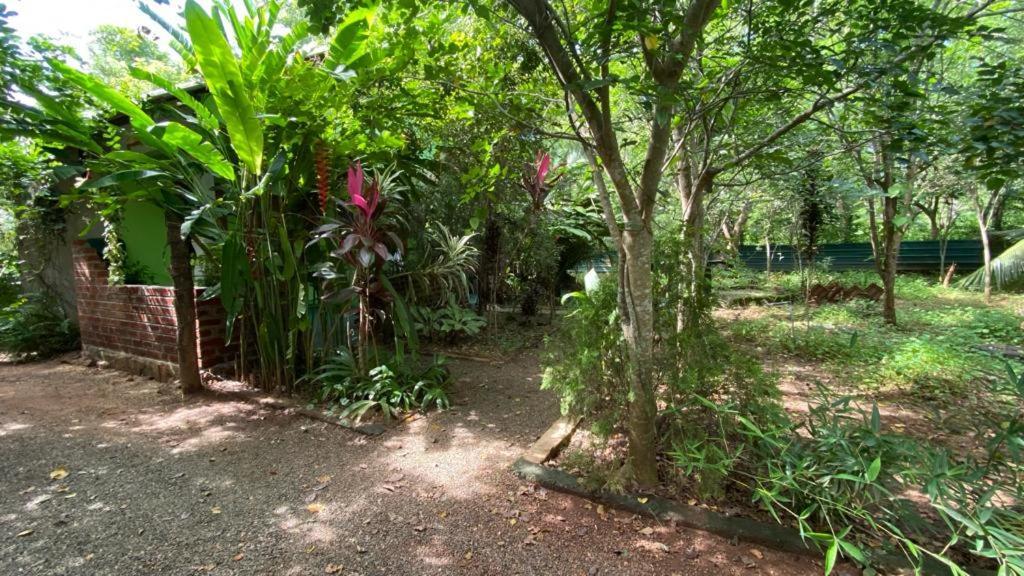 Forest Villa Nature Resort Anuradhapura Zewnętrze zdjęcie