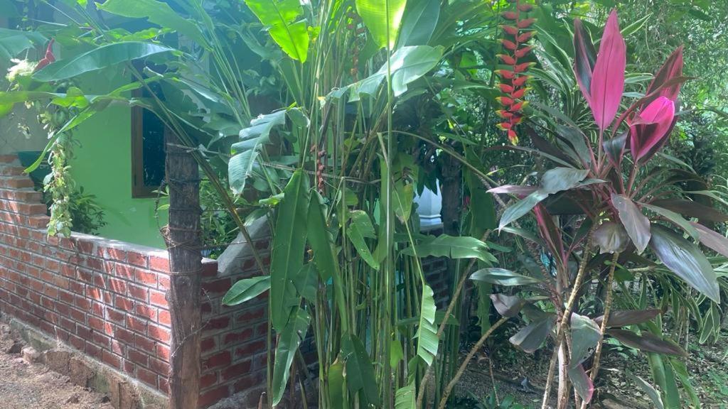 Forest Villa Nature Resort Anuradhapura Zewnętrze zdjęcie