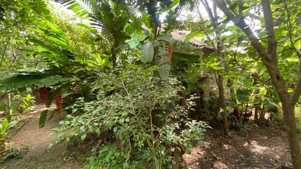 Forest Villa Nature Resort Anuradhapura Zewnętrze zdjęcie