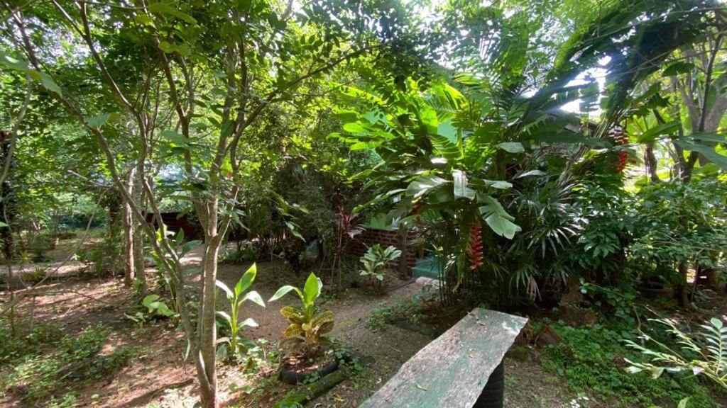 Forest Villa Nature Resort Anuradhapura Zewnętrze zdjęcie