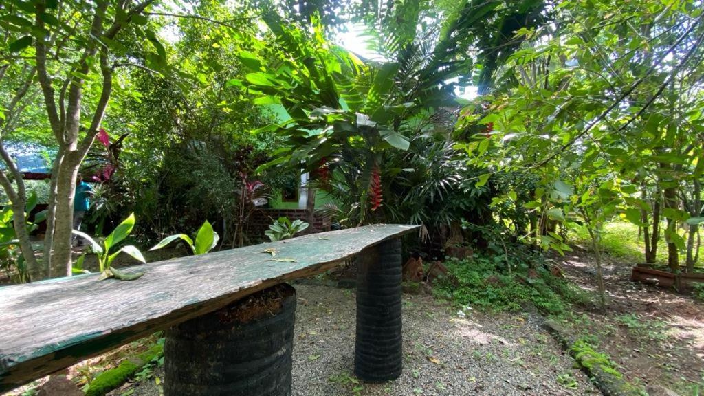 Forest Villa Nature Resort Anuradhapura Zewnętrze zdjęcie