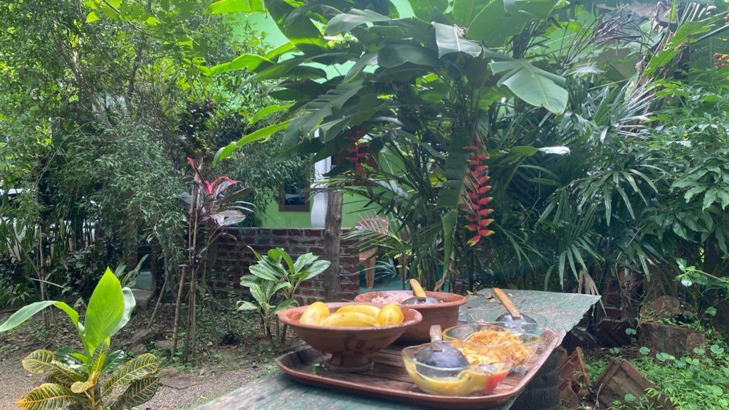 Forest Villa Nature Resort Anuradhapura Zewnętrze zdjęcie