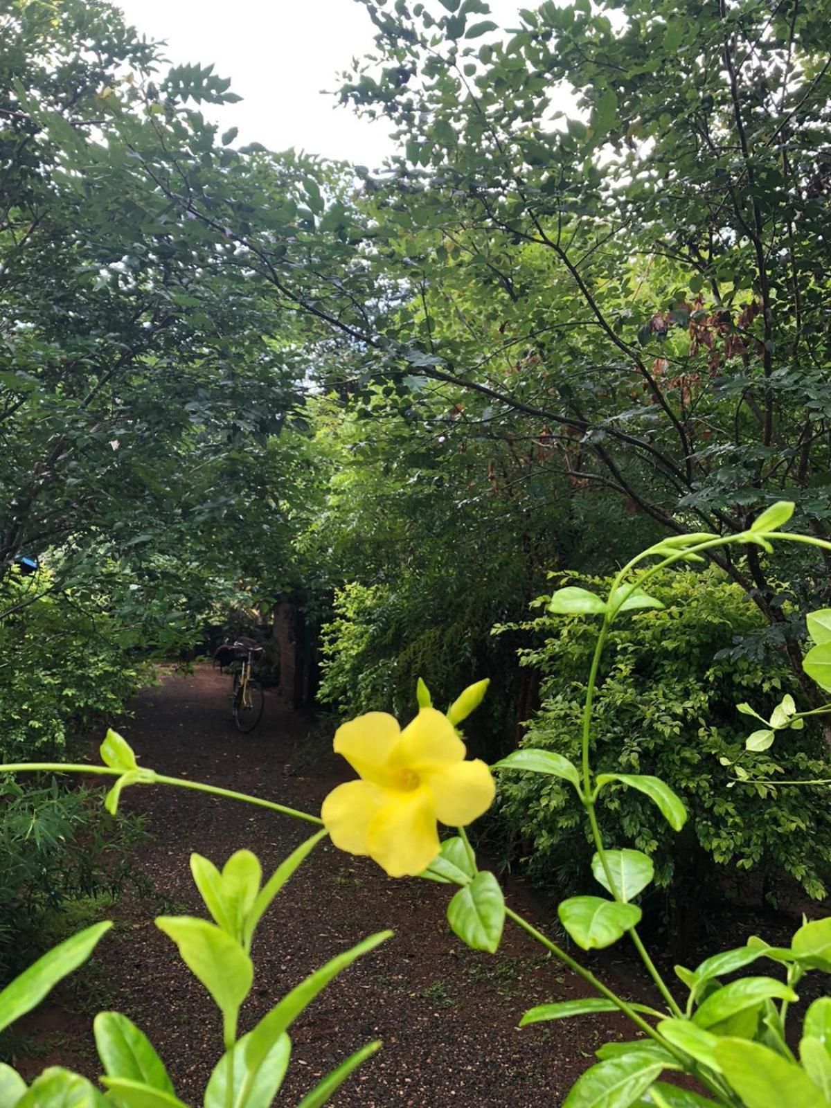 Forest Villa Nature Resort Anuradhapura Zewnętrze zdjęcie