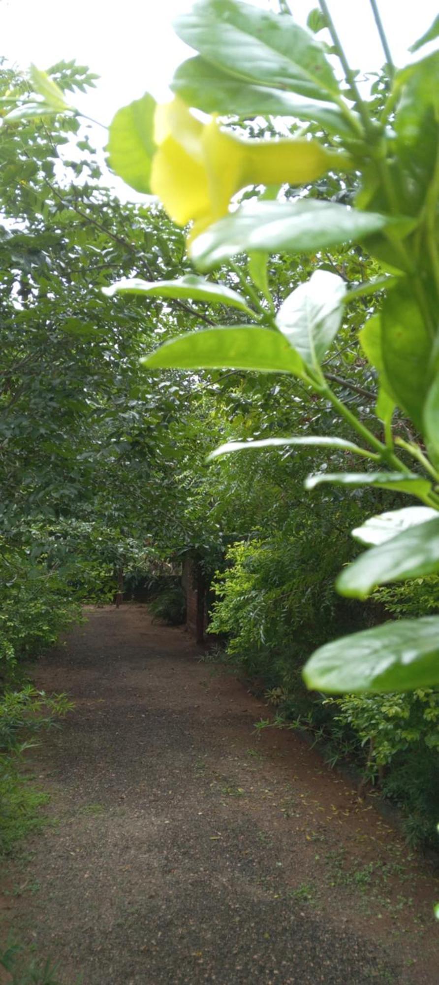 Forest Villa Nature Resort Anuradhapura Zewnętrze zdjęcie