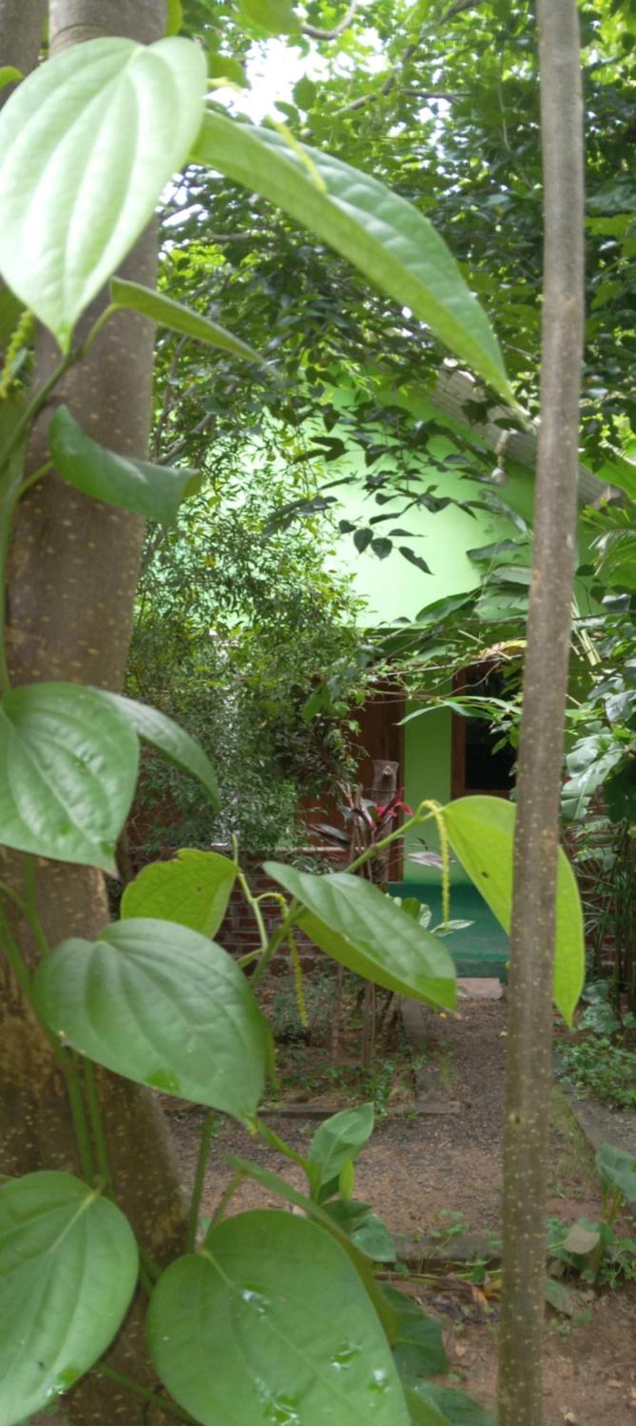Forest Villa Nature Resort Anuradhapura Zewnętrze zdjęcie