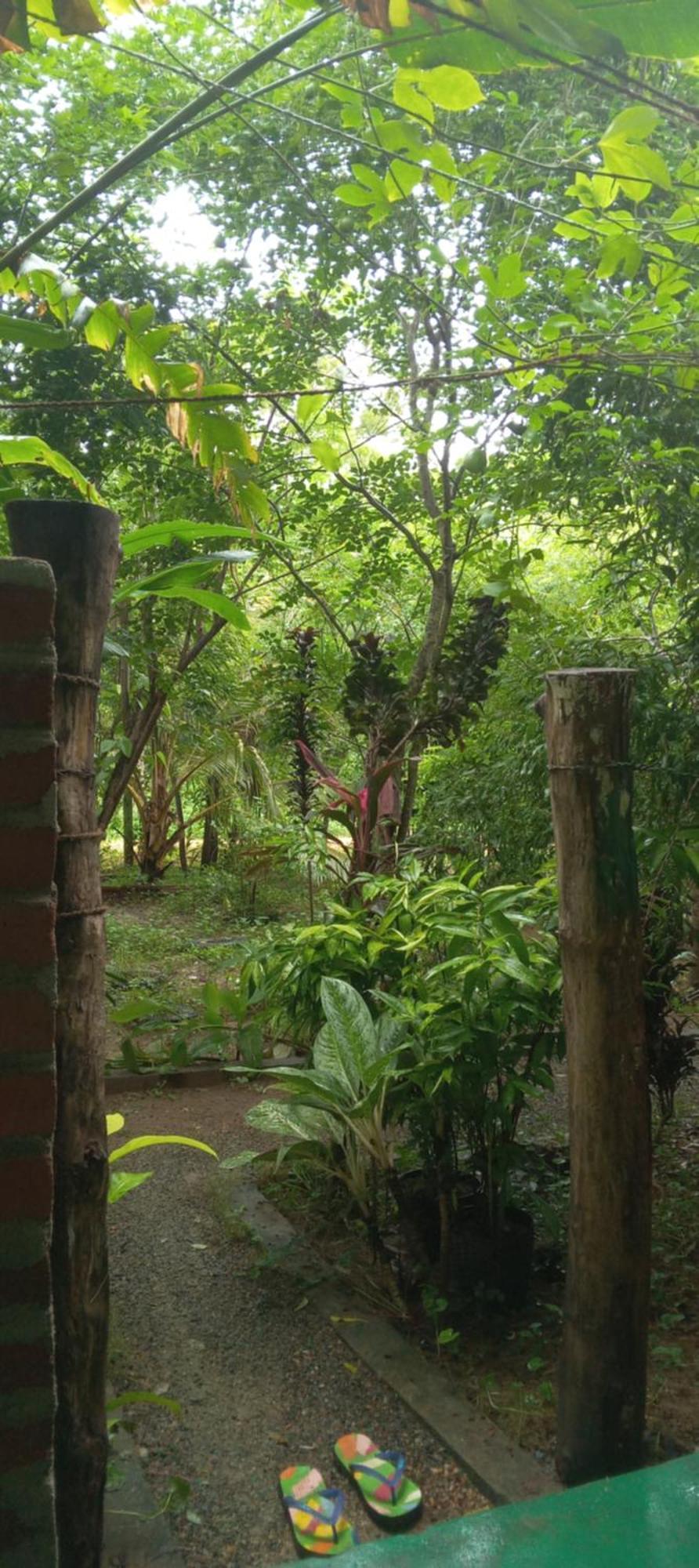Forest Villa Nature Resort Anuradhapura Zewnętrze zdjęcie