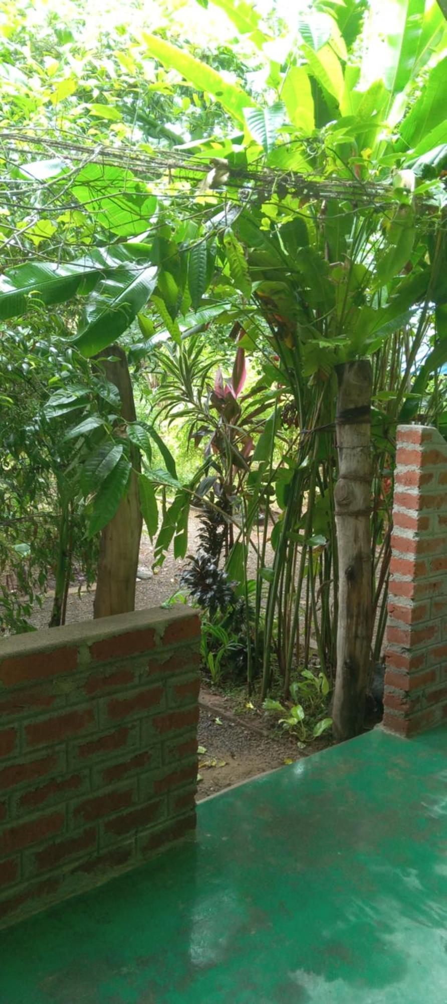 Forest Villa Nature Resort Anuradhapura Zewnętrze zdjęcie