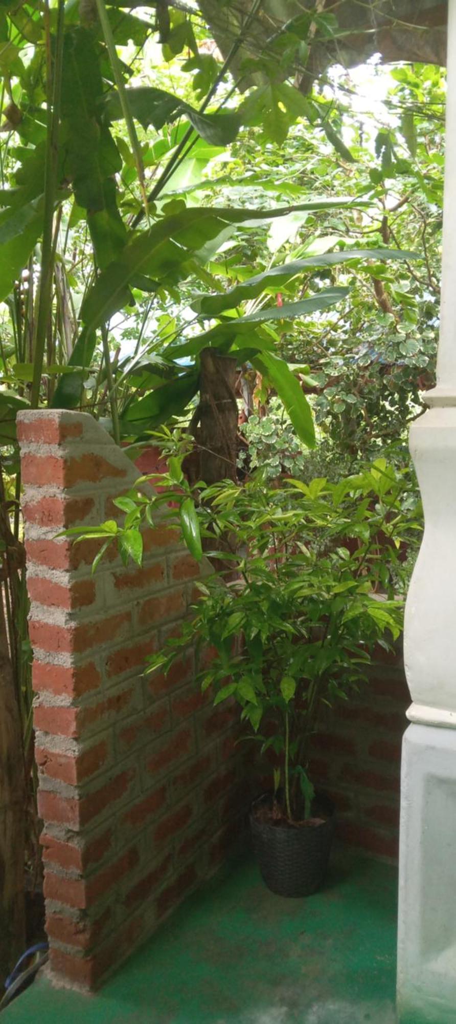 Forest Villa Nature Resort Anuradhapura Zewnętrze zdjęcie