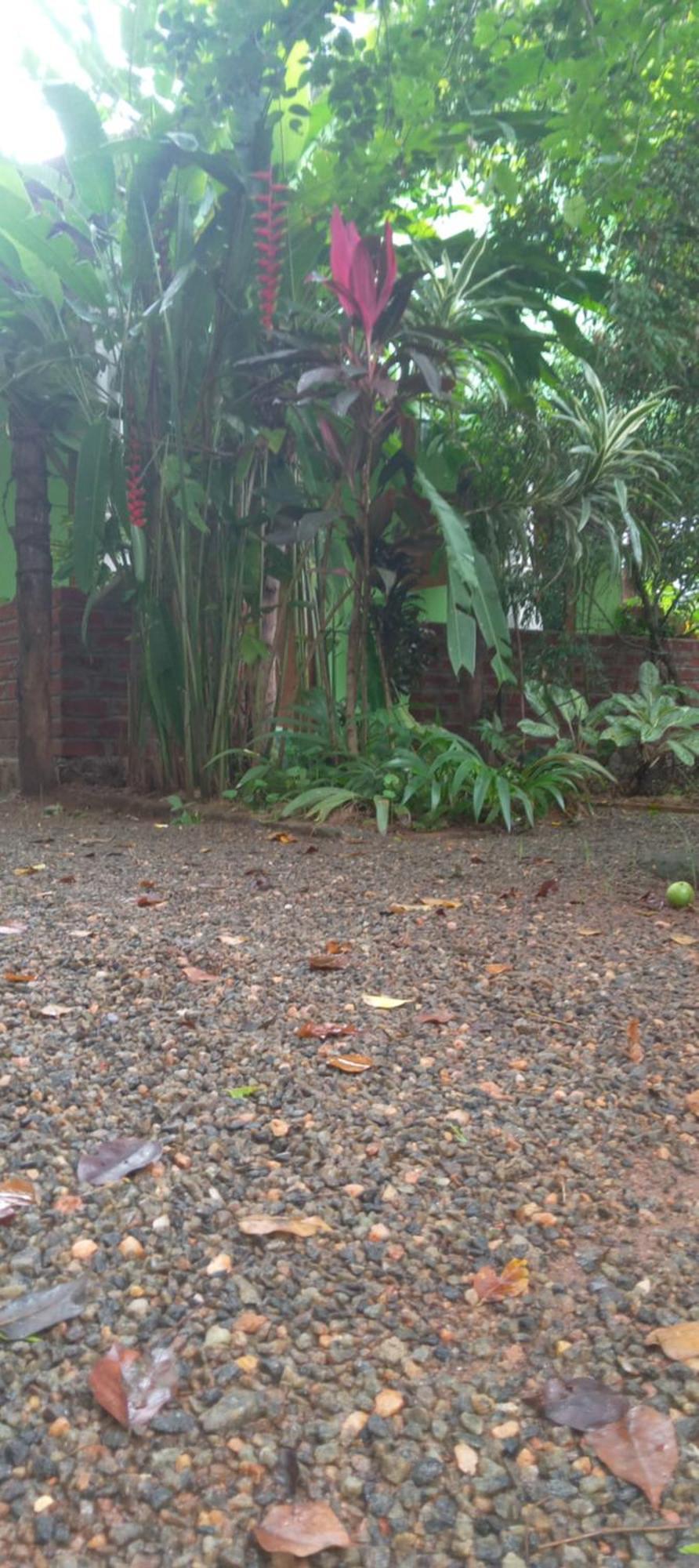 Forest Villa Nature Resort Anuradhapura Zewnętrze zdjęcie