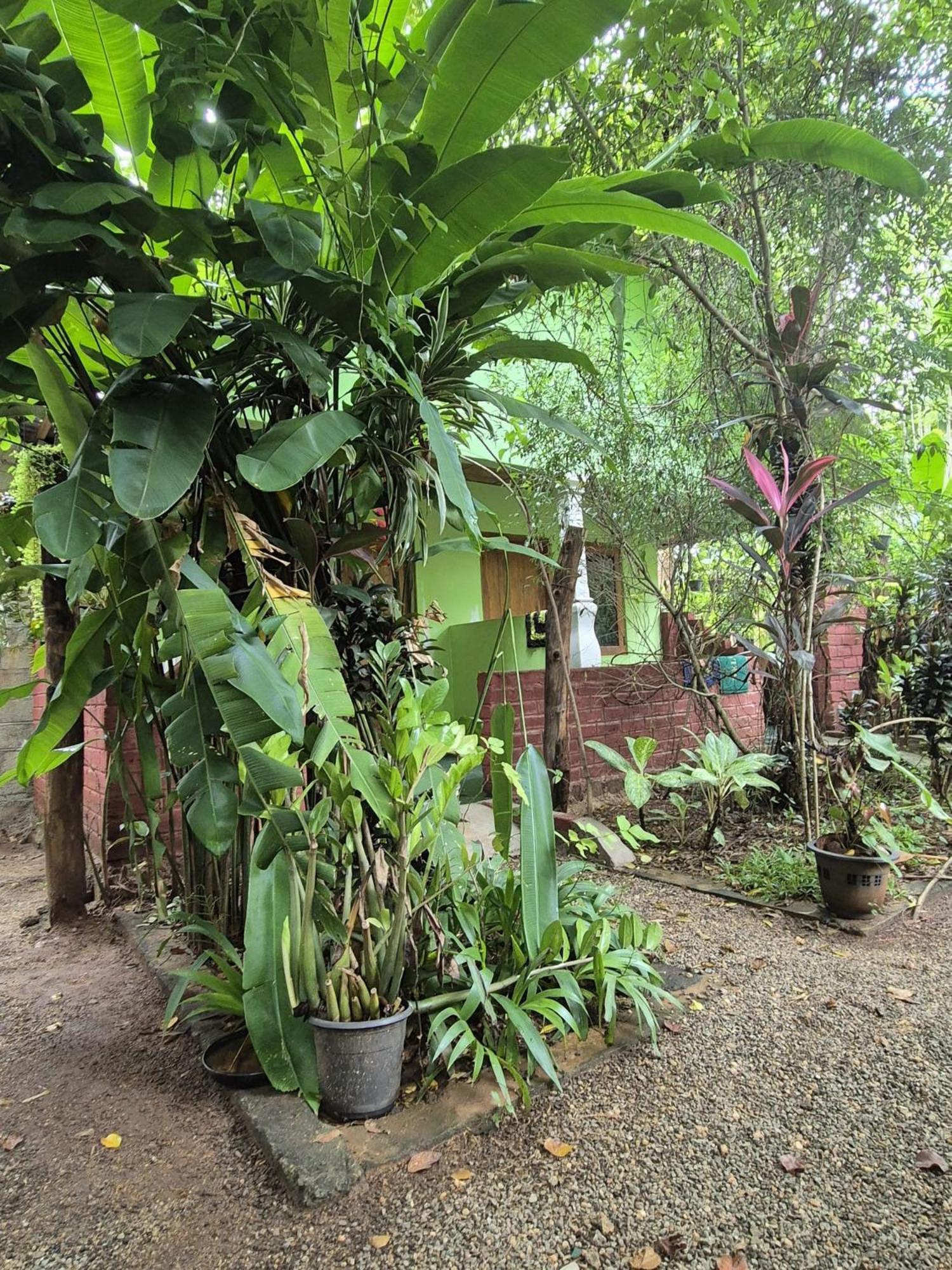 Forest Villa Nature Resort Anuradhapura Zewnętrze zdjęcie