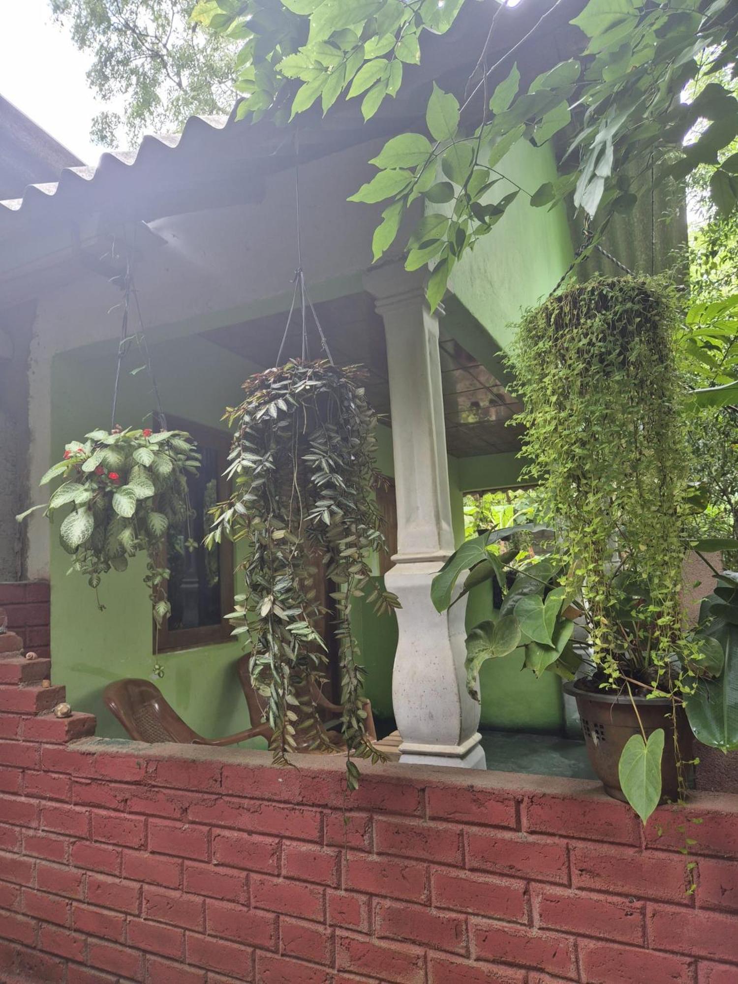 Forest Villa Nature Resort Anuradhapura Zewnętrze zdjęcie