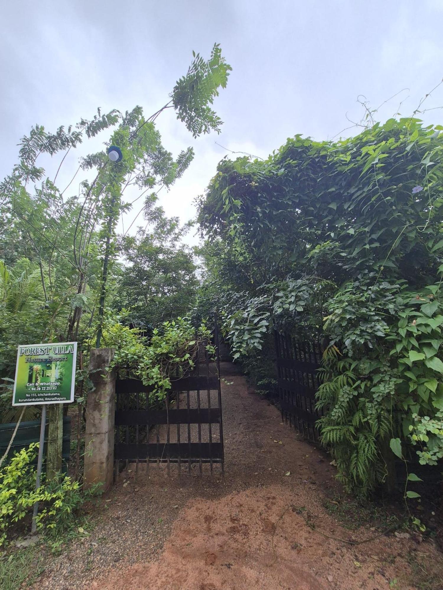 Forest Villa Nature Resort Anuradhapura Zewnętrze zdjęcie