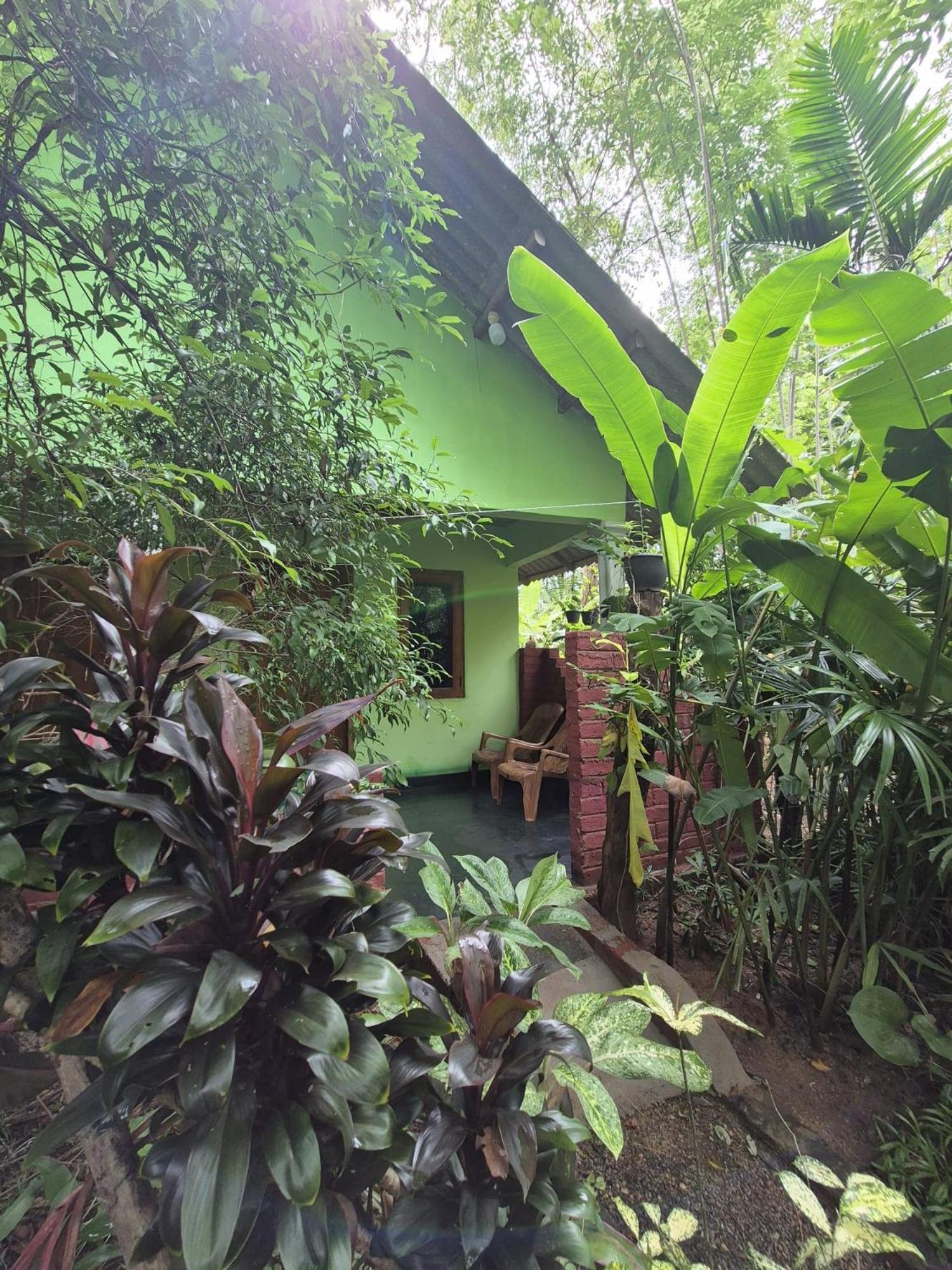 Forest Villa Nature Resort Anuradhapura Zewnętrze zdjęcie